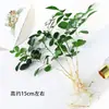 Flores y plantas verdes cultivadas en agua, flores hidropónicas de interior, plántulas cultivadas en agua, rábano verde, árbol del dinero, palma blanca, plantas en maceta, hidroponía de escritorio, fáciles de sobrevivir