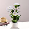 Popular Transfronterizo Camelia de Cuatro Cabezas Planta Artificial en Maceta Decoración para el Hogar Verdor Artificial Flores Falsas Adornos de Interior para Fiesta de Bodas