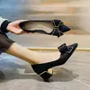Tacones Gruesos con Faldas, Tacones Altos, Estilo Hada de Boca Baja, Zapatos de Lazo de Suela Blanda 2025 Otoño y Verano Nuevo Estilo Francés Versátil