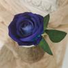 Rosa de terciopelo con perla de un solo tallo Fondo para salón de bodas Decoración de hotel Pared de flores para enamorados Fotografía Rosas secas