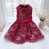 Roupas de Primavera e Verão para Pets, Vestidos, Saias, Roupas Fofas para Gatos e Cachorros, Vestuário para Pets, Laços, Renda Transfronteiriça