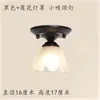 Luz para Pasillo de Entrada con Flor Estilo Francés Mediados de Siglo Decoración Retro Cabeza Forma de Pétalo Diseño Luz para Balcón de Entrada Hierro