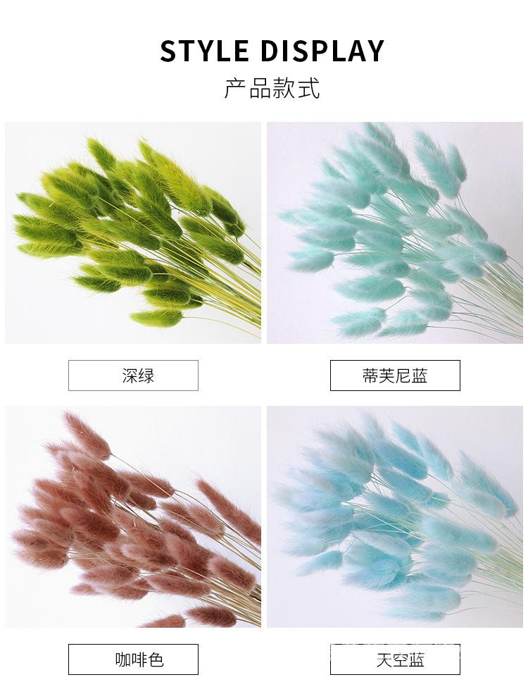 中文1688_06