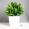 Venda quente transfronteiriça planta artificial planta artificial planta verde interior e exterior decorativo vaso de plástico eucalipto pequeno vaso