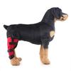 Equipamento de proteção para animais de estimação de venda internacional, auxílio para caminhada pós-operatória para cães, protetor de joelho para cães de pequeno e médio porte, capa protetora para pernas