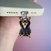 Adornos Colgantes Decorativos, Tapón Antipolvo para Teléfono Móvil, Tipo-C 2D Acrílico con Forma de Gato Lindo Pieza Plana de Interfaz