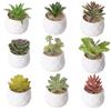 Suculentas Simuladas, Decoraciones de Plantas Verdes, Combinación de Mini Adornos de Cactus, Plantas Suculentas en Maceta, Bonsái al Por Mayor