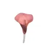 Broche Flor de Acrílico Estilo Retrô Francês Novo Chinoiserie Luxo Acessível Rose Estéreo Joia Broche Corsage Atacado