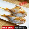88 Tipos de Ingredientes para Barbacoa Familiar de Autoservicio Brochetas al por Mayor Brochetas Fritas Semielaboradas Paquete de Material para Brochetas de Exterior Brochetas de Cordero