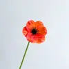 Flor Artificial PU Mini Flor de Papoula Flor Falsa Decoração de Casa Ins Enfeites Planta Atravessando Fronteiras Atacado