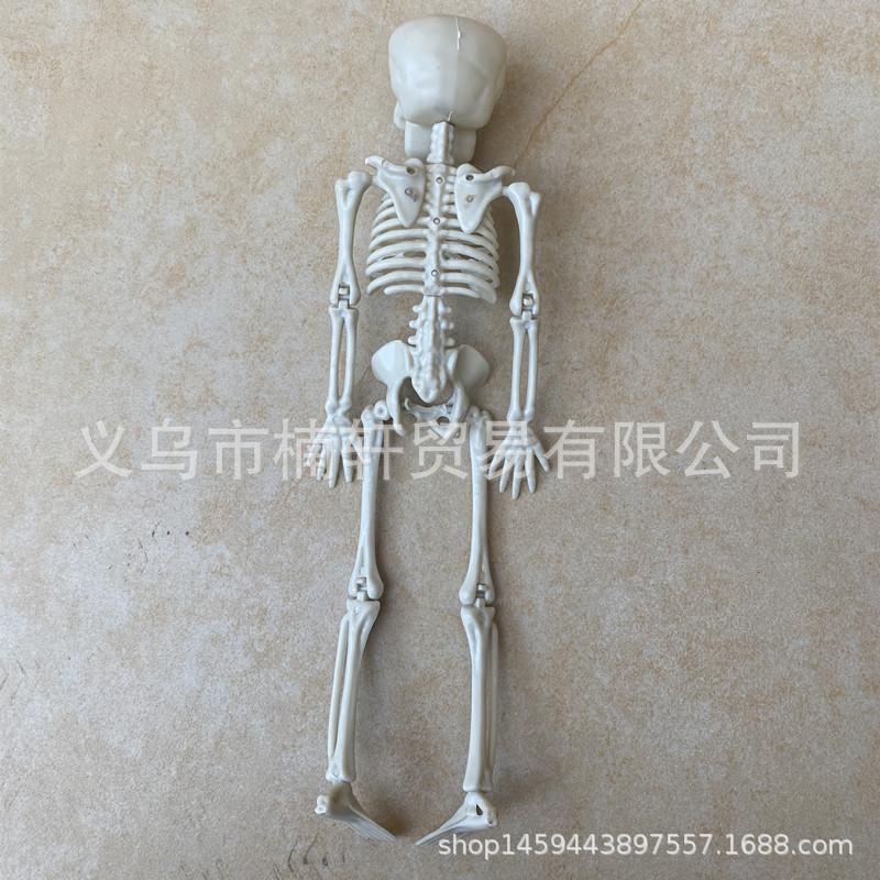 微信图片_20220313164536