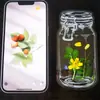 Marcadores de Página de Flores Secas, Materiais DIY Artesanais, Frascos Transparentes para Espécimes, Primavera em uma Garrafa, Flores Prensadas Caseiras, Plantas, Flores para Alunos do Ensino Fundamental