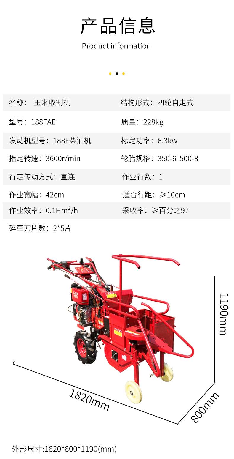 玉米_06