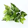 Simulação Planta Verde Pacote Único 7 Garfos Dieta Verde Folha de Tartaruga Folha Persa Flor Falsa Flor Artificial de Plástico Planta Acessório de Parede Folha