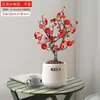Wanfang Coroa da Longevidade Flor Begônia em Vaso Resistente ao Frio Seda de Jade Colorida Muda de Jardim Velho Tronco Flor de Bonsai Planta Anã