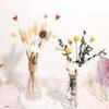 Ramo de flores secas de Yunnan con hojas de eucalipto inmortales, estilo nórdico, adornos decorativos para el hogar y la sala de estar, accesorios de tiro DIY.