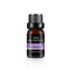Envío Directo de Una Pieza OEM Aromaterapia a Base de Plantas Aceite Esencial Fragancia Lavanda Menta Difusor para el Hogar Venta al por Mayor Transfronteriza