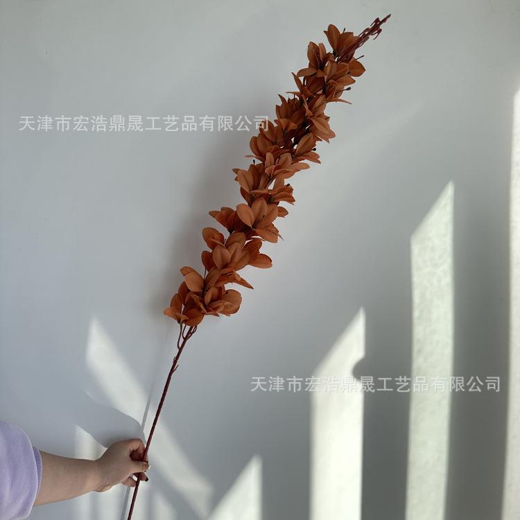微信图片_202303181613182_副本