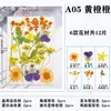 Paquete de Hojas de Flores Secas DIY Cristal Epoxi Paquete de Materiales de Flores Hechos a Mano Pegatinas de Flores Prensadas Materiales Plantas Decorativas Muestras Fotografía