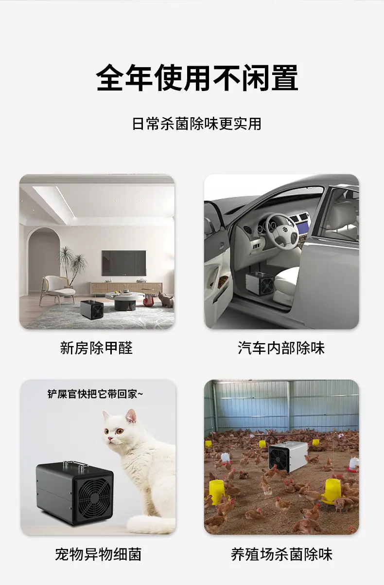 新2
