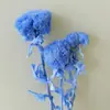 Flores Artificiais Eternas com Pompons Verdes, Arranjos Florais Frescos e Artísticos, Enfeites Decorativos, Decoração Suave Arte Floral, Cravos Verdes Atacado