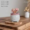 Vaso de Flor Carnuda Cerâmica Jardinagem Cerâmica Mini Novo Criativo Grés Casa Vintage Novo Vaso de Porcelana Vaso