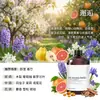 Recarga difusor de fragancia Macau Galaxy estilo vacacional, botella grande de fragancia a base de aceite, aceite esencial para sala de estar y dormitorio