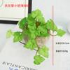 Sensación de mano simulada de hojas de cilantro de Copperus chinensis planta suculenta mini pegamento suave planta verde pantalla de escritorio de oficina planta verde