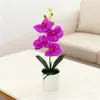 Estilo Quente Transfronteiriço Conjunto de 4 Peças de Flor Artificial Phalaenopsis em Vaso para Decoração de Fotografia de Casamento e Adereços de Bonsai de Flores Artificiais
