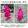 Produto Novo Transfronteiriço 3D Phalaenopsis 9 Flores 3D Phalaenopsis Estilo C Casamento Mão Segurando Fundo Casa Decoração Suave Flores Artificiais Atacado