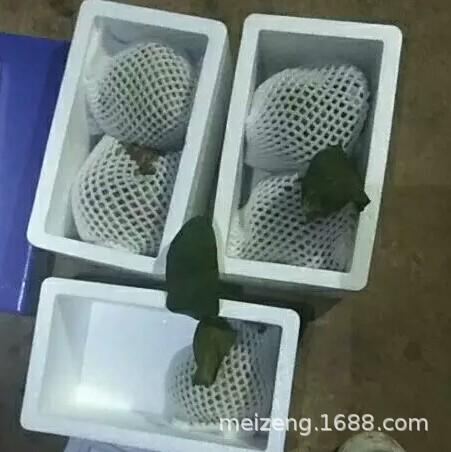 水果泡沫网套 (121)