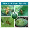 Bolas Trampa Mosca de la Fruta Cítrica, Bolas Pegajosas de Insectos para Árboles Frutales, Trampas de Mosca de la Fruta con Aguja para Abejas, Bolas Pegajosas de Mosca de la Fruta para Huertos al por Mayor