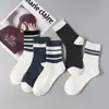 Calcetines de Cuatro Estaciones de Fuente de Comercio Electrónico, Calcetines de Media Pantorrilla, Calcetines Cortos Modernos, Calcetines Deportivos Largos de Color Sólido que Absorben el Sudor