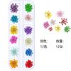 12 cores tridimensionais nail art flores secas tamanho da caixa longa flores secas 24 multi-tamanho unhas jóias do prego atacado