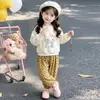 Conjunto de Primavera y Otoño para Niñas 2026 Nueva Moda Sudadera Infantil para Bebés Niñas, Ropa de Principios de Otoño, Extremadamente Atractivo