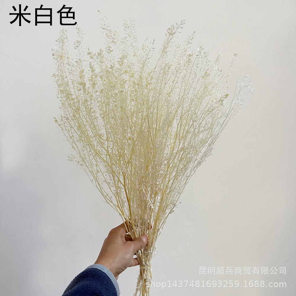 QQ图片20221213152644.jpg