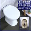 Banheiro externo rural vaso sanitário antigo reforma de banheiro rural passagem direta sem descarga vaso sanitário cerâmico tradicional odor