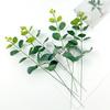 Eucalipto Individual Simulado Hoja de Dinero Estilo Ins Hierba de Dinero Pequeña Planta Artificial Guirnalda Accesorios Decoración de Boda