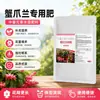 Fertilizante especial para cactus de Navidad, fórmula alta en fósforo, promueve el alargamiento del tallo floral, muchos capullos, flores grandes, ordenadas, período de floración extremadamente largo, bueno