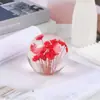 Dente-de-leão Espécime Flor Eterna Resina Bola de Cristal Ensino Infantil Brinquedos de Ciência Popular Decorações para Casa Pequenos Presentes