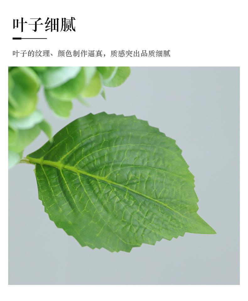 克拉单枝手感绣球_13.jpg