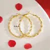 Pendientes Circulares Personalizados de Aleación de Cobre Trenzados Estilo Europeo y Americano Pendientes Exagerados para Mujer Joyería Simple de Oro Arena Vietnamita