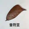 Frijol Nota Musical Colgante de Concha de Fruta Hecho a Mano DIY, Kit de Materiales para Accesorios de Muñeco de Concha de Fruta, Flores Secas, Vainas de Fruta Naturales al por Mayor