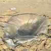 Esterilla de playa desechable engrosada con barrera contra la suciedad para jugar en la playa, esencial para jugar en la arena al aire libre, esterilla de camping portátil