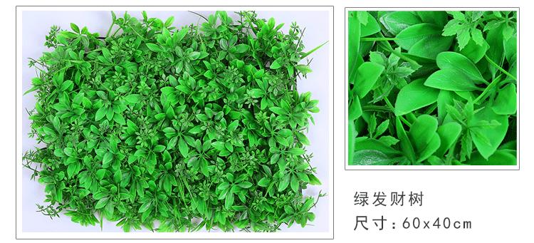 植物墙