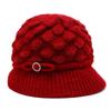 Gorro de lana nuevo de otoño e invierno para mujeres de mediana edad y mayores, además de gorro cálido de terciopelo, gorro deportivo para exteriores, gorro de punto cálido para madres