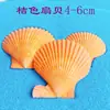 Concha natural concha vieira cor vieira caracol diy feito à mão concha concha paisagismo de aquário