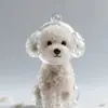 Llavero Recolector de Pelo de Perro para Recuerdo de Mascota, Linda Cápsula de Caniche, Recuerdo DIY de Pelo de Mascota, Siempre Lleva Recuerdos, Botella de Plástico Transparente, Cabe Pelo de Perro, Pelo y Cenizas