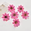 Conjunto de Flores Artificiais Roxas Rosa Peônia Flor Falsa Flor de Seda Adorno de Cabeça Grampo de Cabelo Flor Decoração de Bolsa de Dor