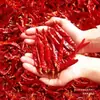Chiles secos picantes chiles secos nuevos chiles rojos chiles de Sichuan polvo de chile seco